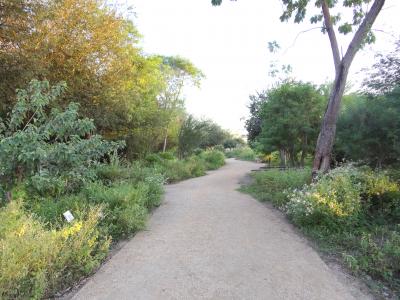 National Butterfly Center in Mission, Texas