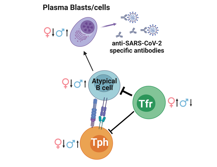 Fig Image Eurekalert Science News Releases