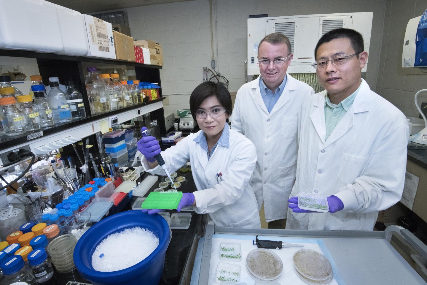 Brookhaven Plant Oil Research Team