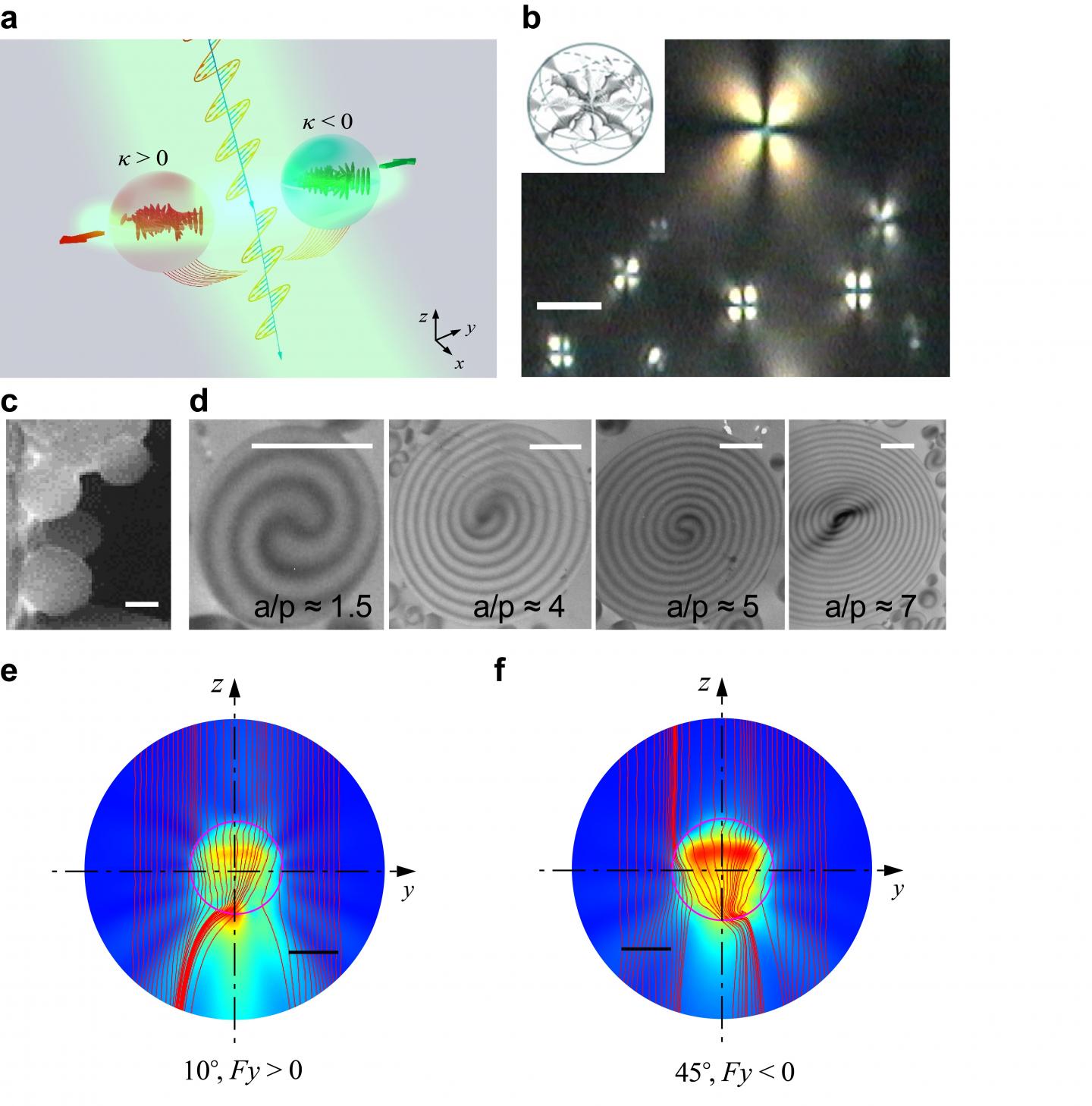 Reversible Optical Lateral Forces for Bidirectional Sorting of Chiral Particles