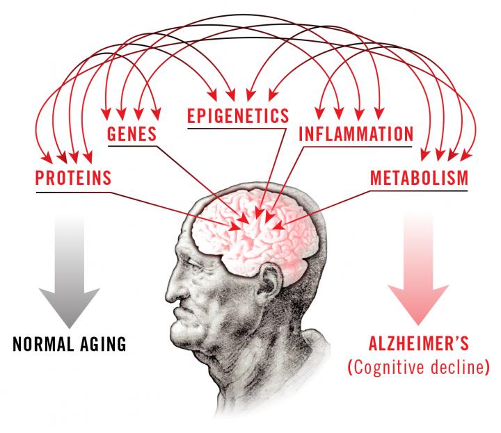 Salk Institute Allen-AHA Graphical Abstract