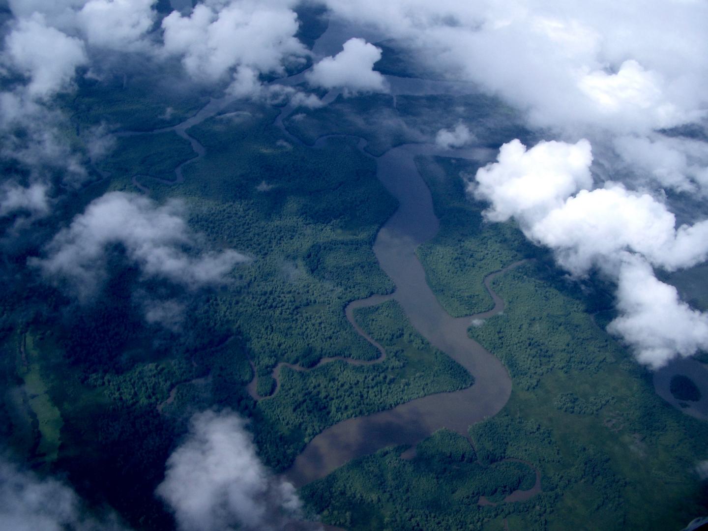 Costa Rica Tropical Forest