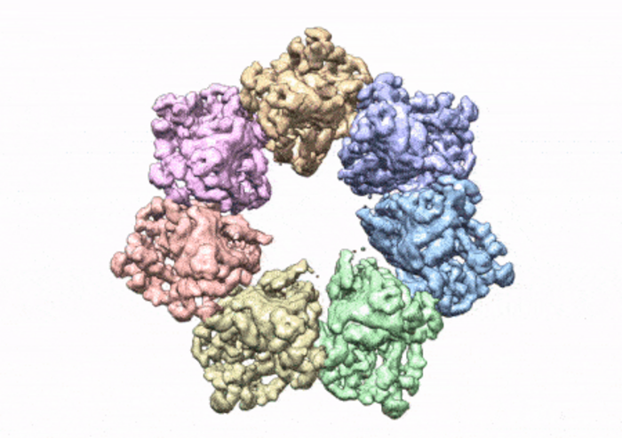 3D structure of a fluorescent protein
