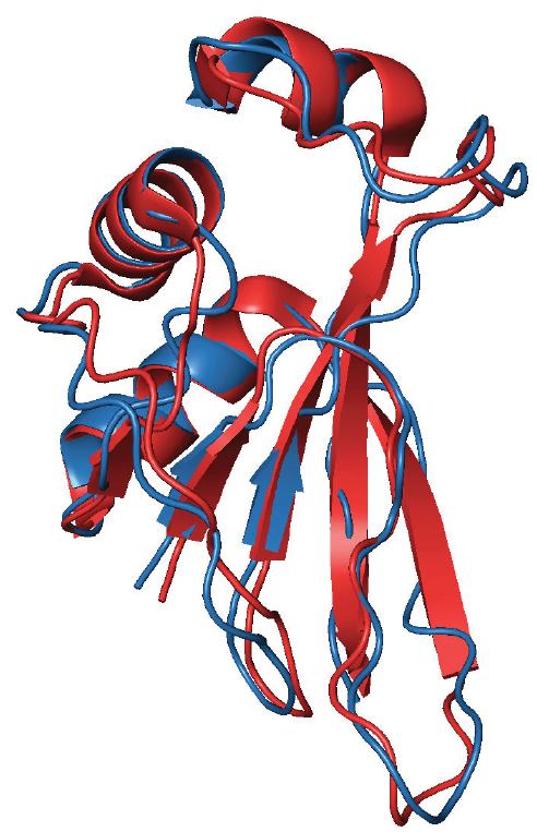 AFV3-109 Protein