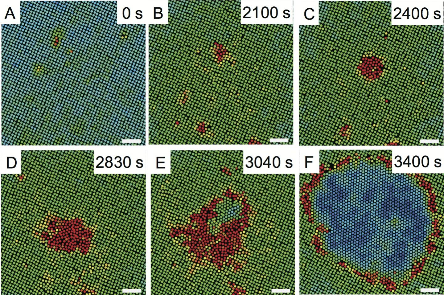 Two-Step Solid-Solid Transition