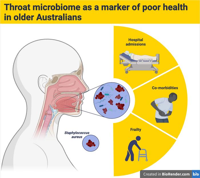 Throat microbiome as a marker of poor health in older Australians graphic