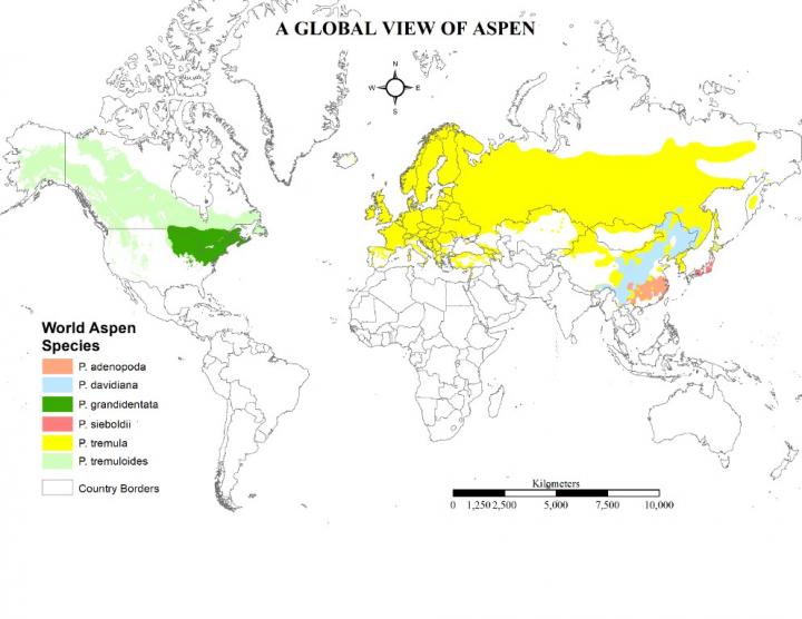A Global View of Aspen