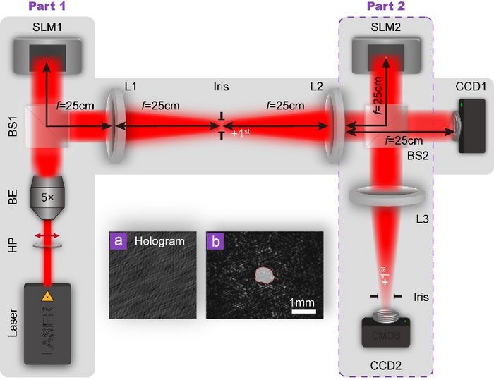 FIG 1 [IMAGE] | EurekAlert! Science News Releases