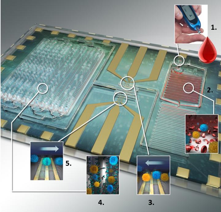 Biochip Schematic