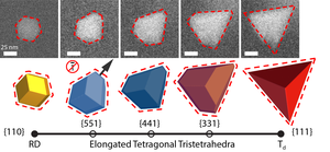 TETRA