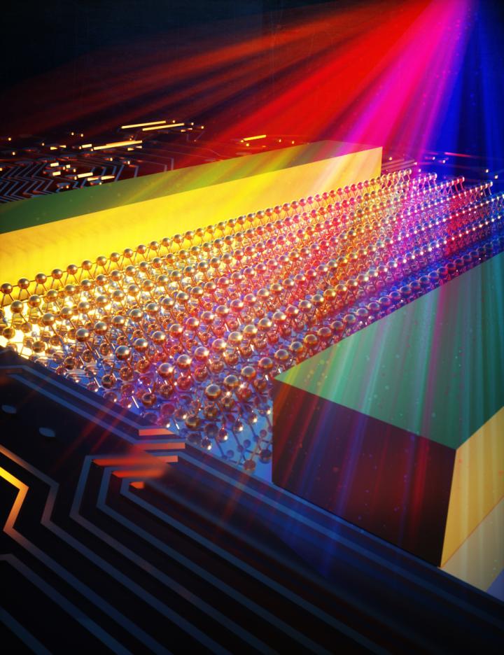 Artist's Impression of the Photodetector