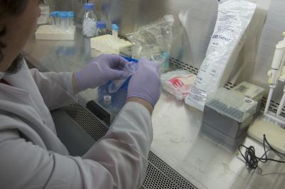 John Zimmerman, University of Chicago