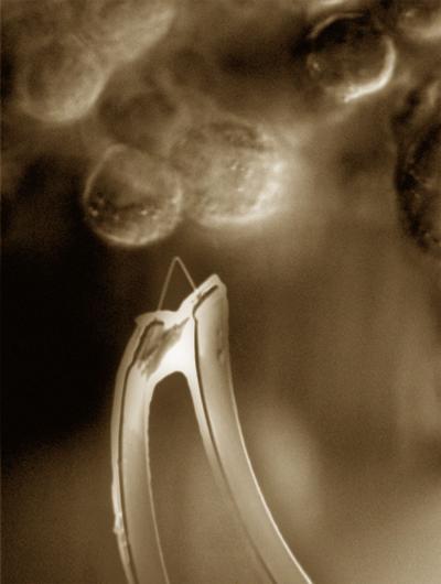 Two-Terminal Nanoscale Transistor Sensor