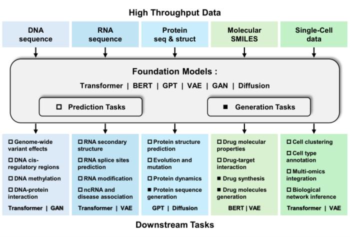 Foundation models in bioinformatics