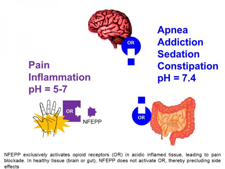 One Order of Opioids, Please, and Hold the Side Effects (3 of 3)