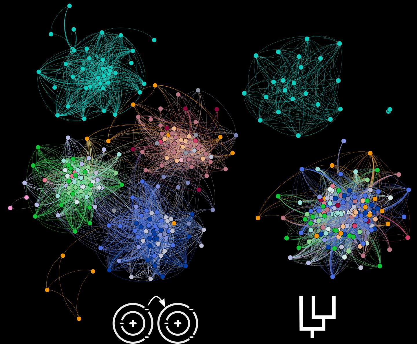 Network Representation of Global Microbial Communities
