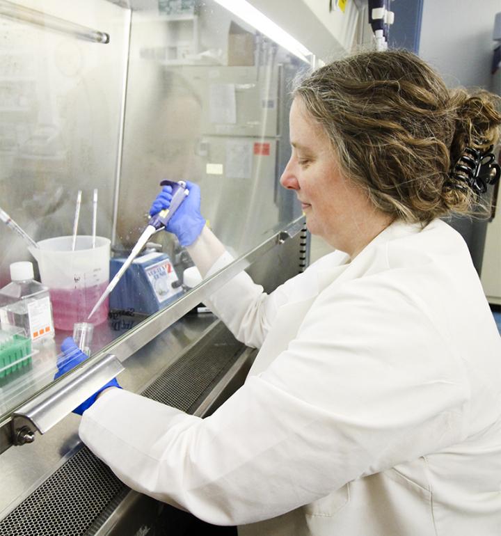 Sarah George, Saint Louis University