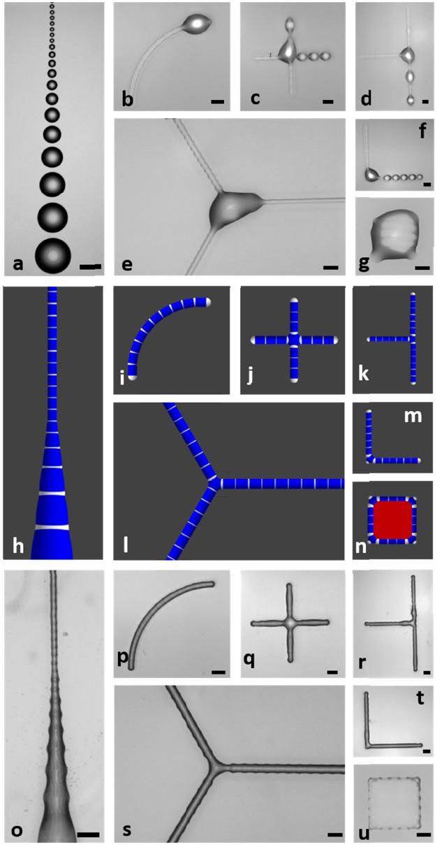 Waveguide with Laser Comparison