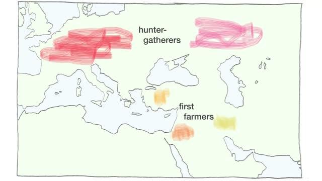 World's First Farmers