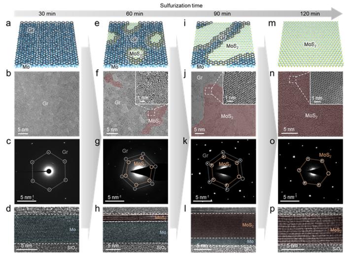 Figure 3: (From top to bottom) Schematic representation of TMD growth progress over time, transmission electron microscopy (TEM) images, diffraction patterns, and cross-sectional TEM images of TMD growth using Hypotaxy.