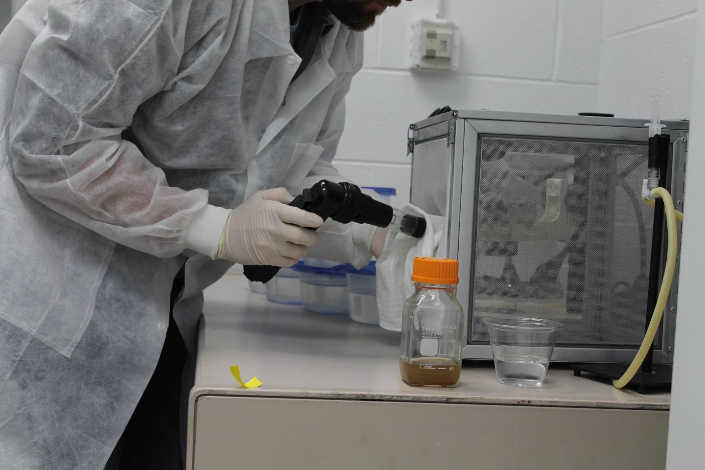 A Protein in Mosquito Spit Can Keep Dengue Virus in Check