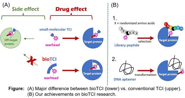 bioTCI: Biomolecular Targeted Covalent Inhibi | EurekAlert!