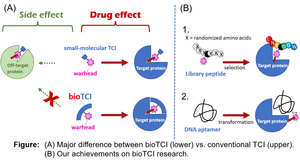 Biotci Biomolecular Targeted Covalent Inhibi Eurekalert