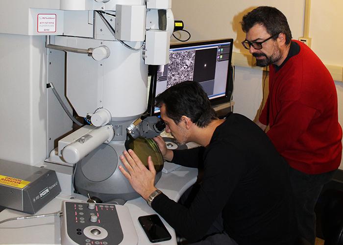 Tungsten Blend Resists Fractures, Could Be Valuable For Magnetic Fusion Facilities