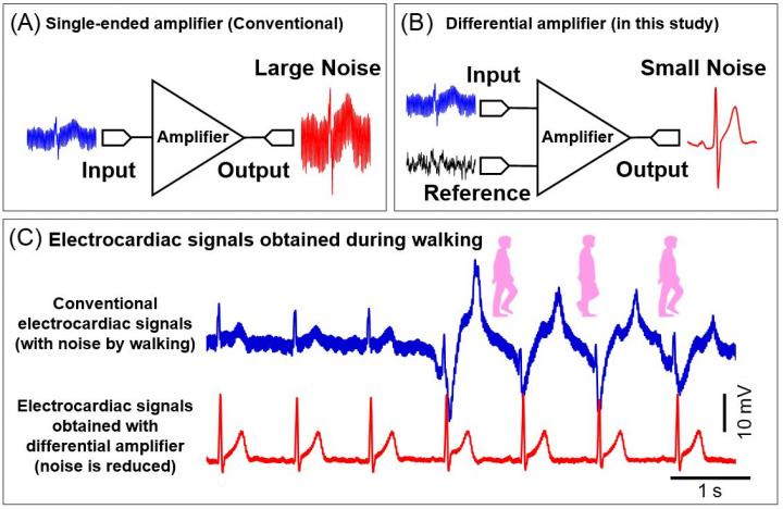 Electrocardiac Signals