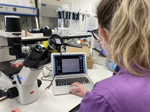 Scientists working in a lab at Northumbria University researching new treatments for childhood leukaemia