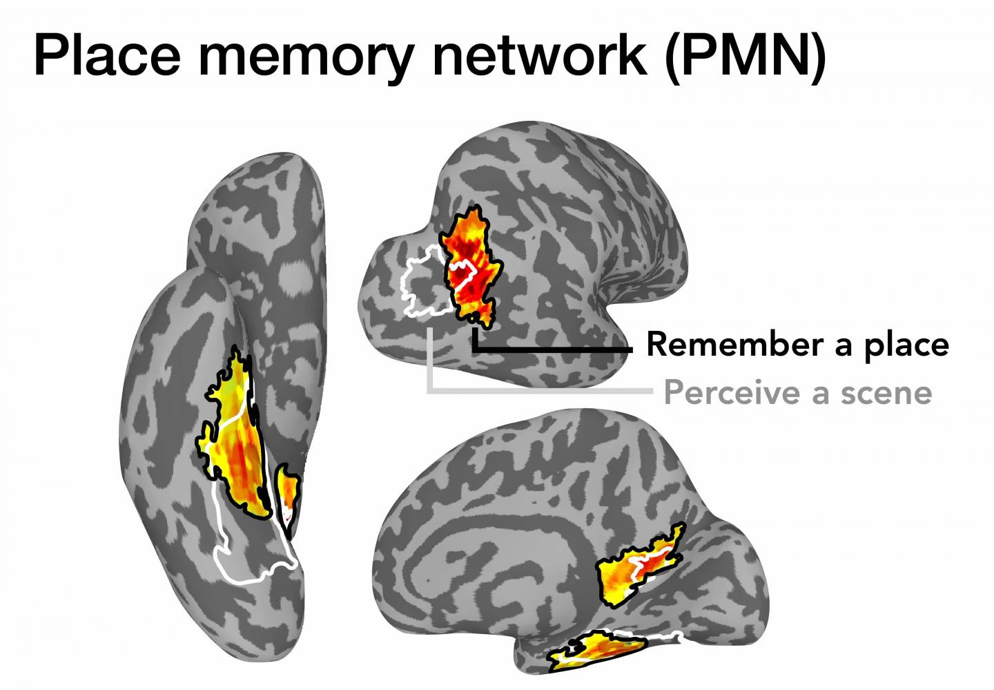 Place-memory network of the human brain