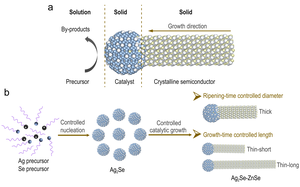 Schematic synthetic control over semiconductor nanowires.