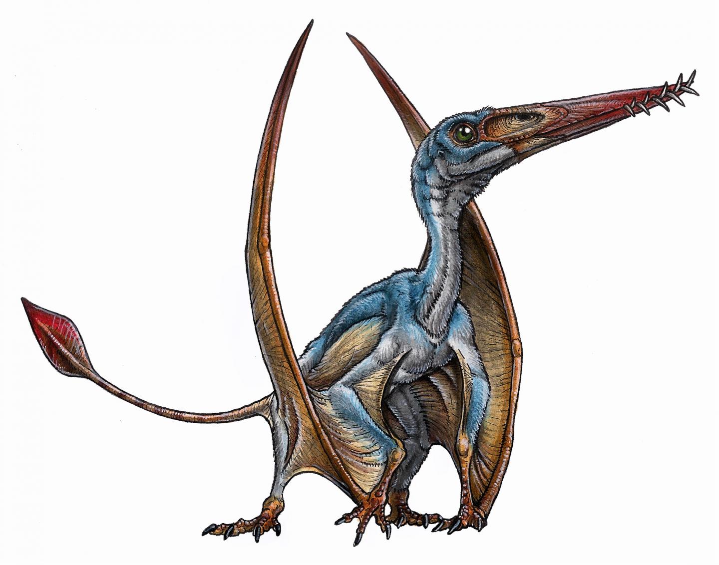 Are Pterodactyls Dinosaurs? - WorldAtlas