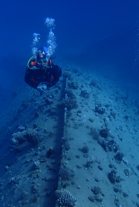 Divers at the wreck