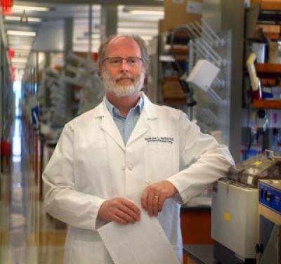 Dr. Andrew Mellor, Georgia Health Sciences University