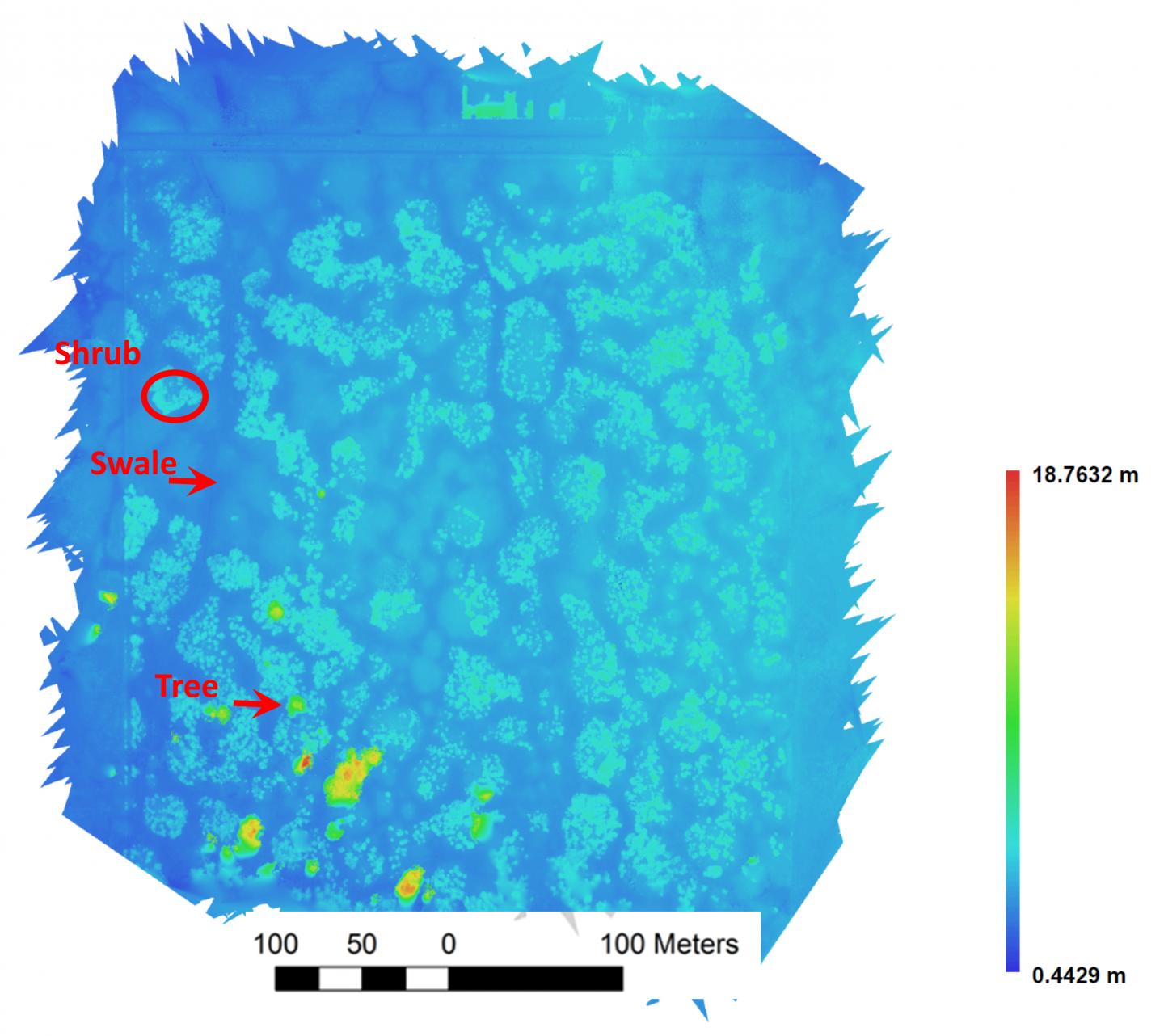 Digital Surface Model (DSM)