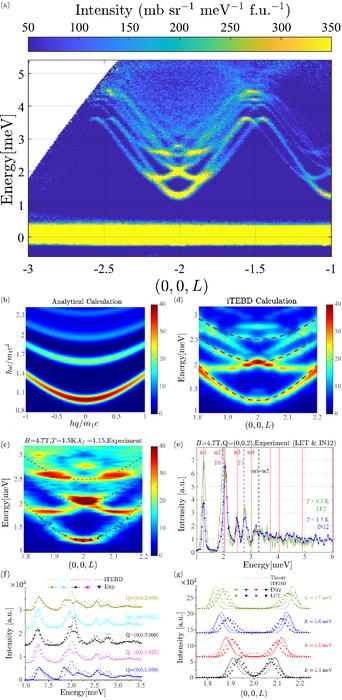 Comparison of the spin dynamics among the theoretical, the numerical and the experimental results