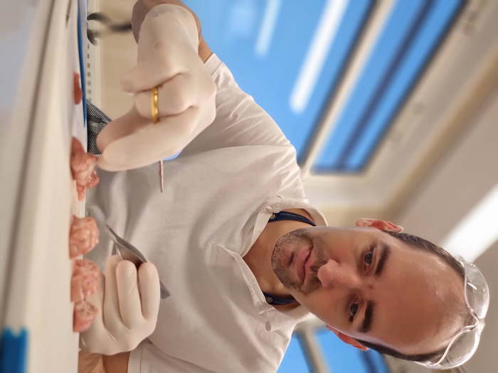 Czeibert_Kalman working