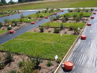 Dairy Manure Goes Urban