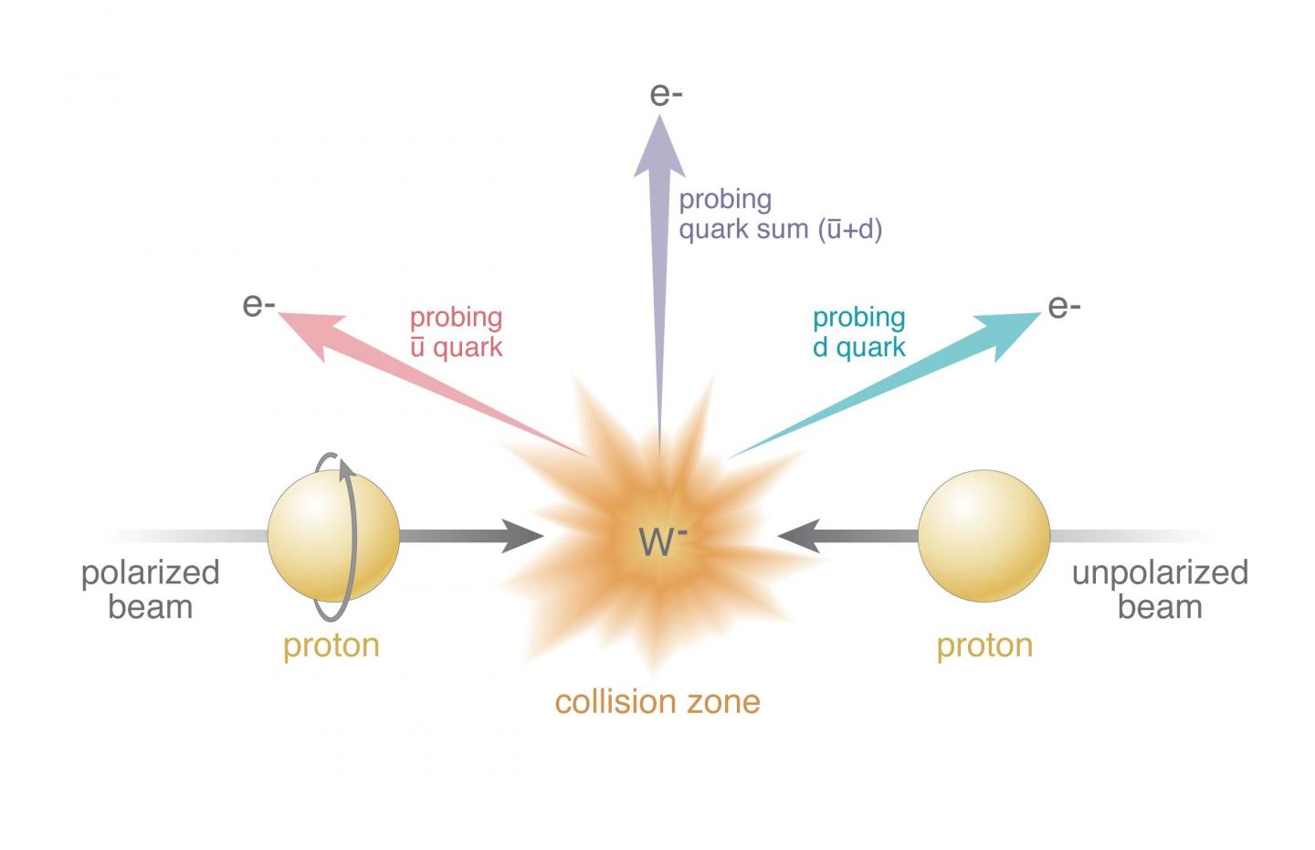Using W Bosons to Probe Spin Contributions