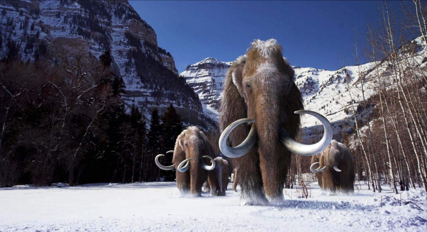 How the Mammoth Got its Wool: Genetic Changes