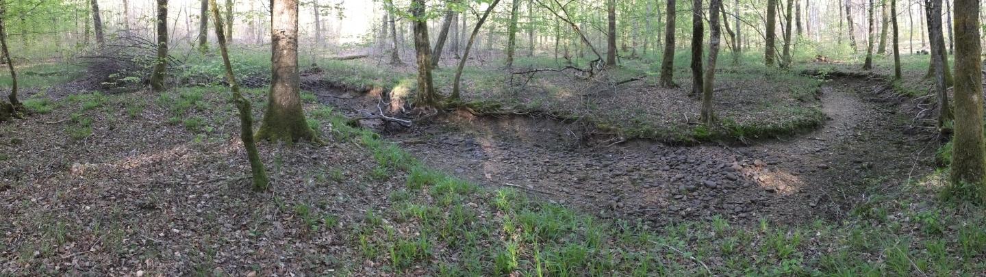 A segment of the Clauge river (Jura, France)