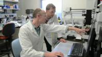 New Compound Blocks 'Gatekeeper' Enzyme to Kill Malaria