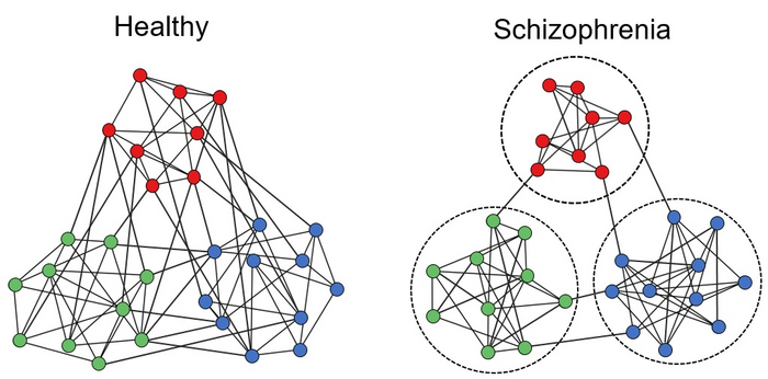 Figure 3. Schematic depictions of different semantic brain networks