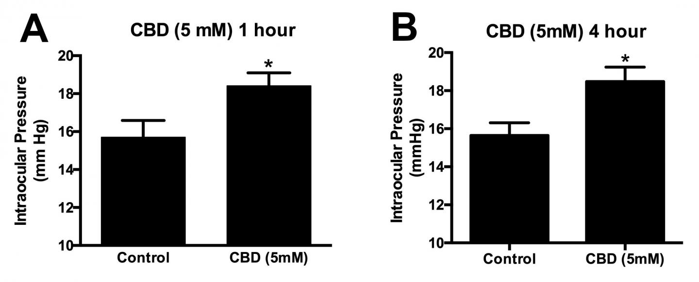 Chart Showing Pressure Increase Inside the Eye
