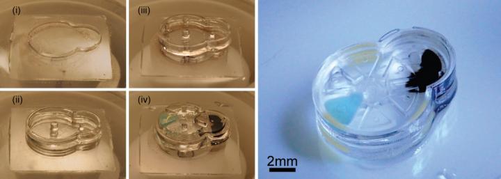 Implantable Microrobots