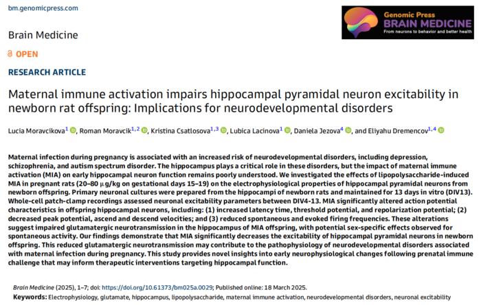 Maternal immune activation impairs hippocampal pyramidal neuron excitability in newborn rat offspring