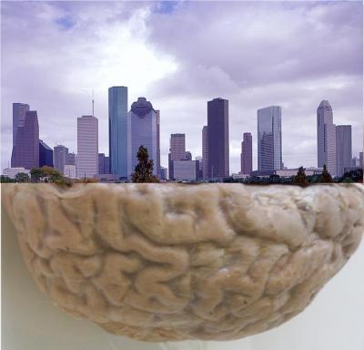 City/Brain