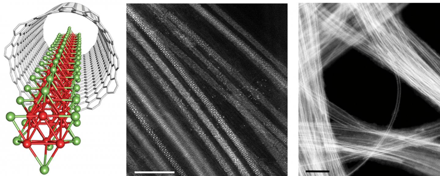 Schematic and Electron Microscopy Images