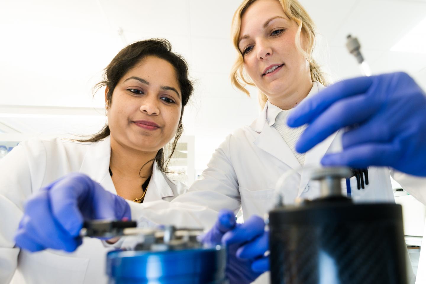 Researchers at Linköping University Study How Alzheimer's Disease Spreads in the Brain